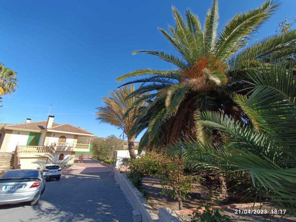  te koop villa Jijona Alacantí 37
