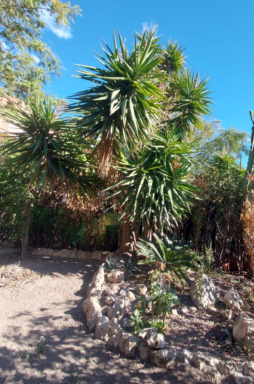  te koop twee-onder-een-kapwoning Sant Joan D'alacant Alacantí 9