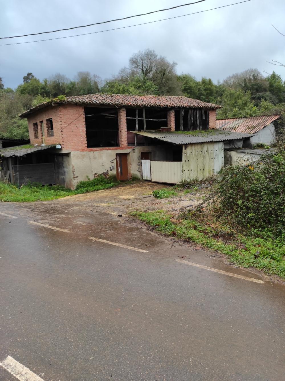  te koop gebouw Pernus Oriente 4