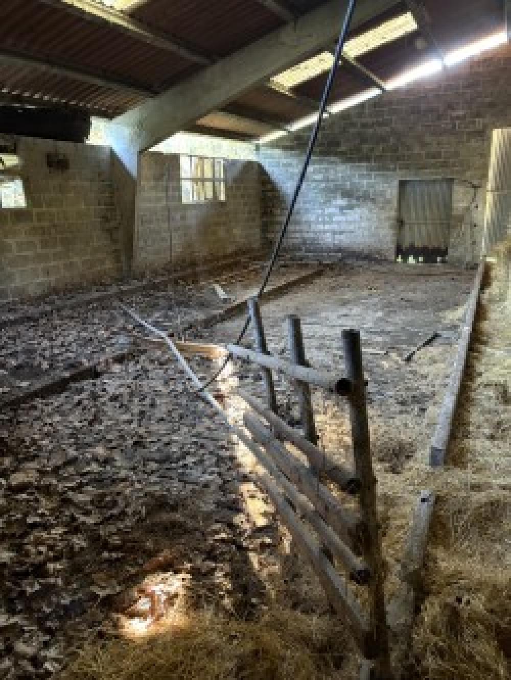  te koop gebouw Pernus Oriente 1