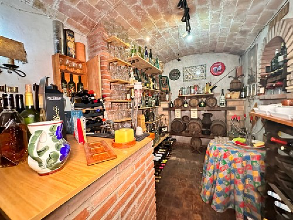  te koop villa Torrelles De Llobregat Baix Llobregat 49