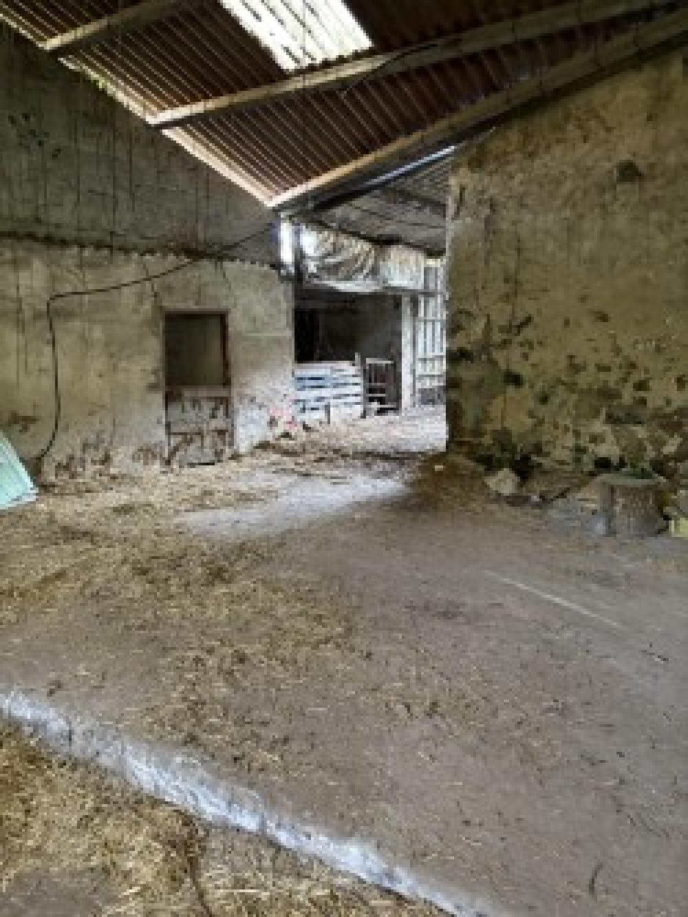  te koop gebouw Pernus Oriente 5