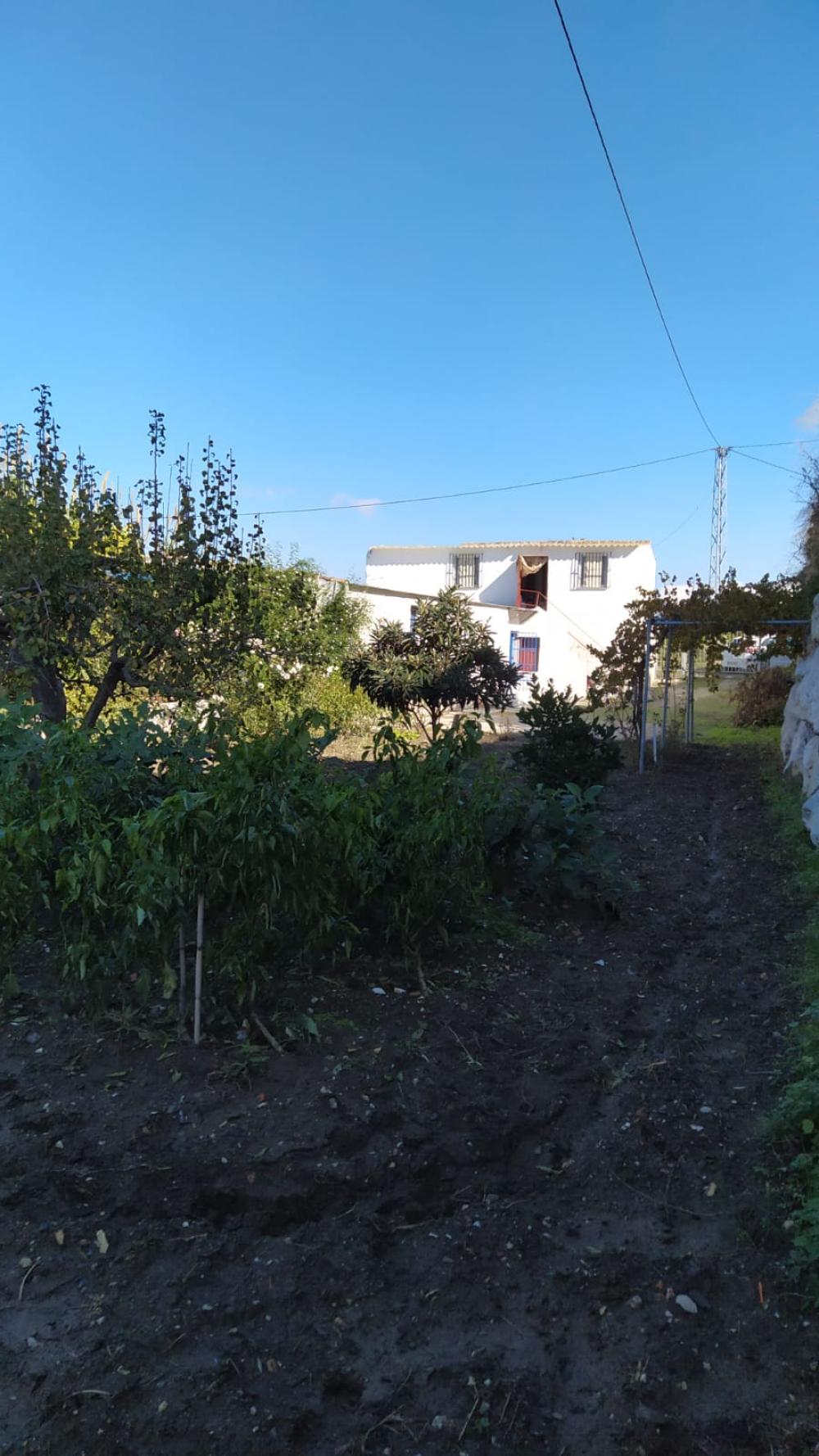  te koop boerderij Coín Valle Del Guadalhorce 6