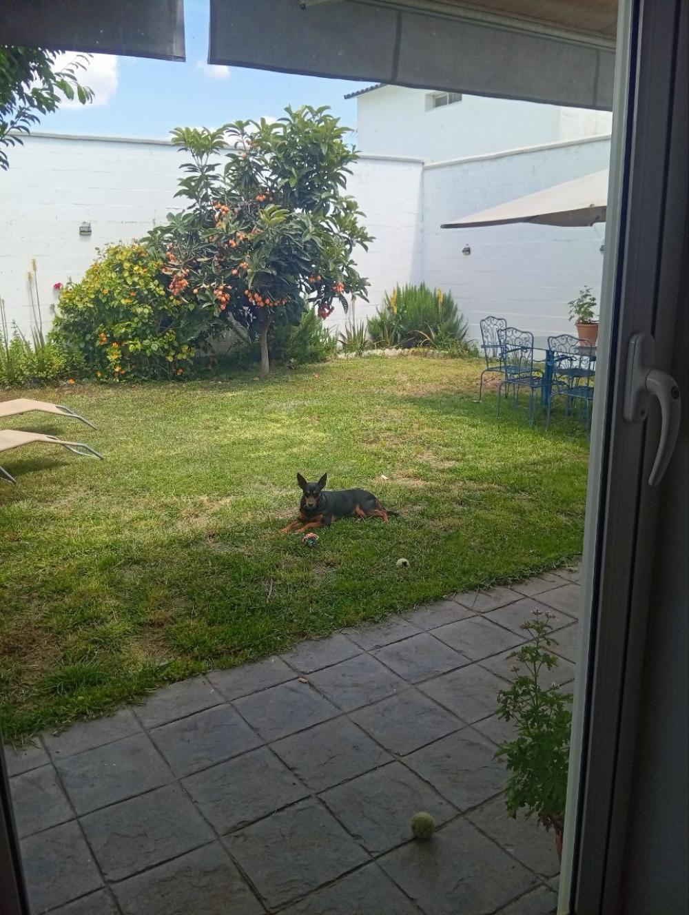 te koop villa Bollullos De La Mitación Aljarafe 2