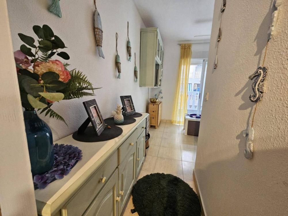  te koop appartement Guardamar Del Segura Baix Segura 5