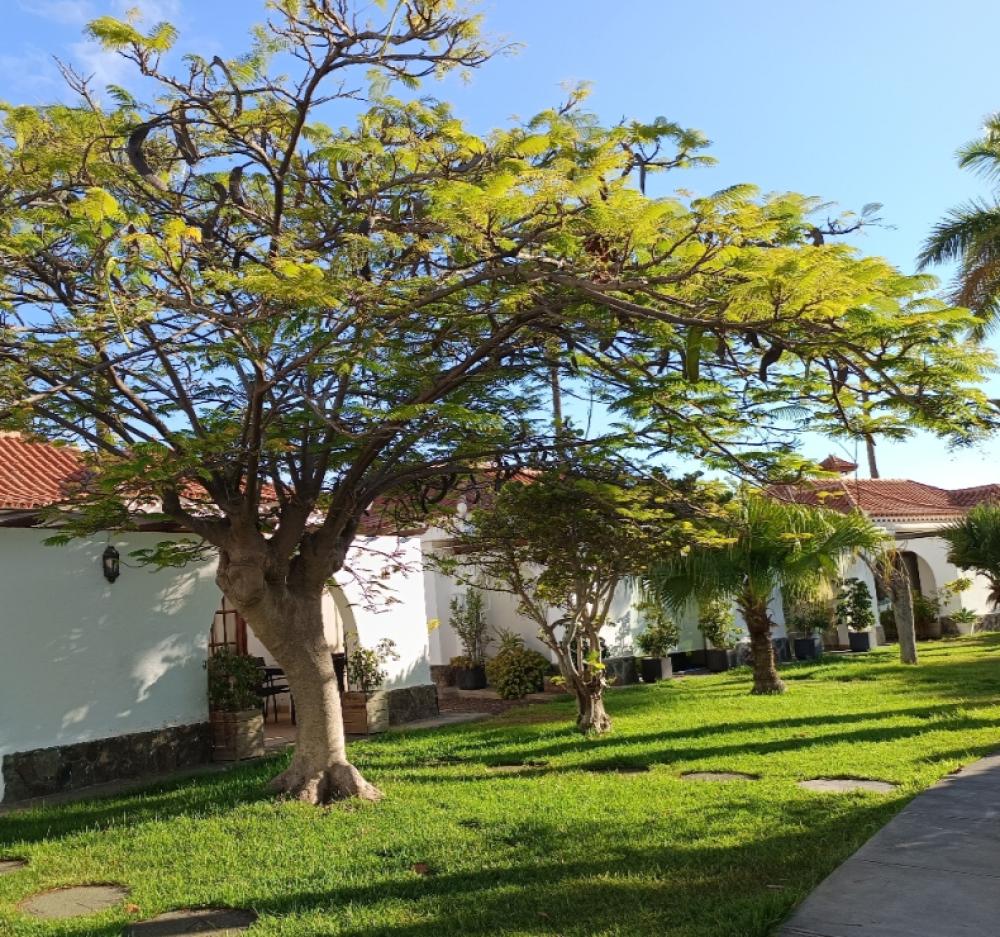  te koop twee-onder-een-kapwoning Maspalomas Área Sur 5