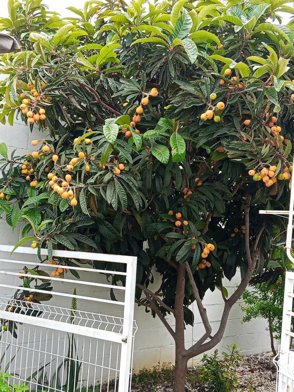  te koop villa Bollullos De La Mitación Aljarafe 10