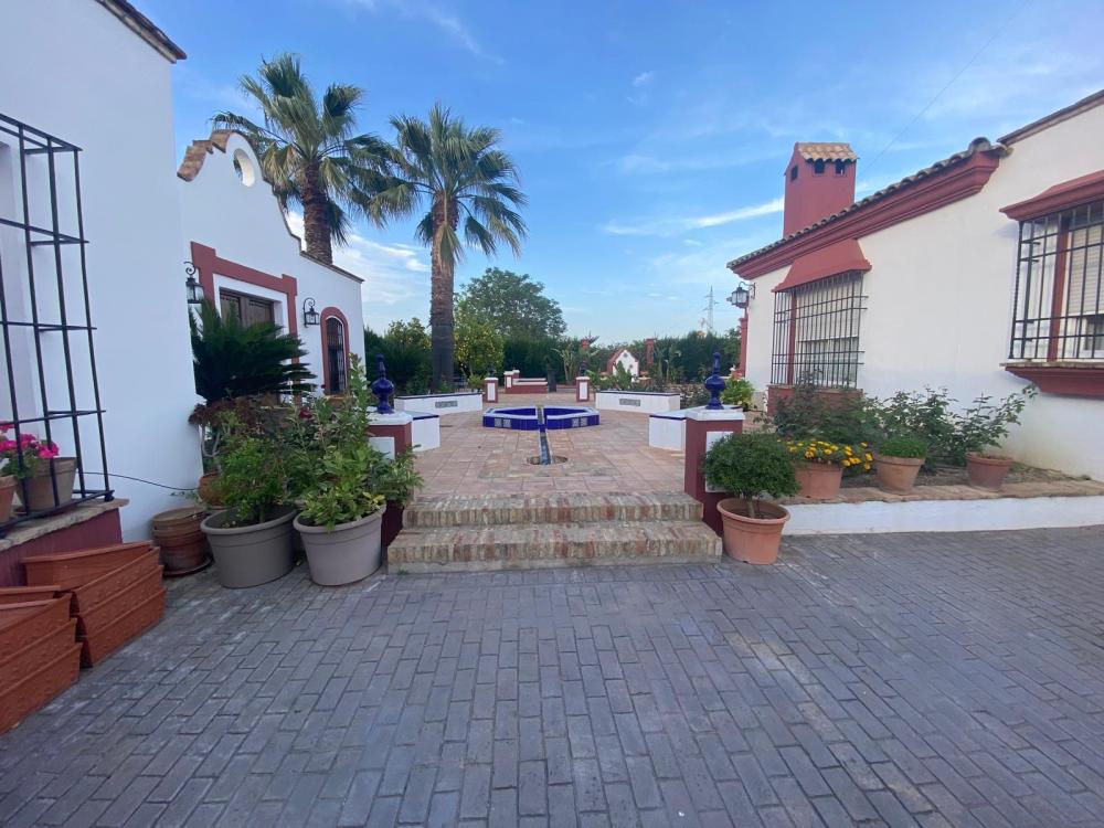  te koop villa Palma Del Rio Valle Medio Del Guadalquivir 4