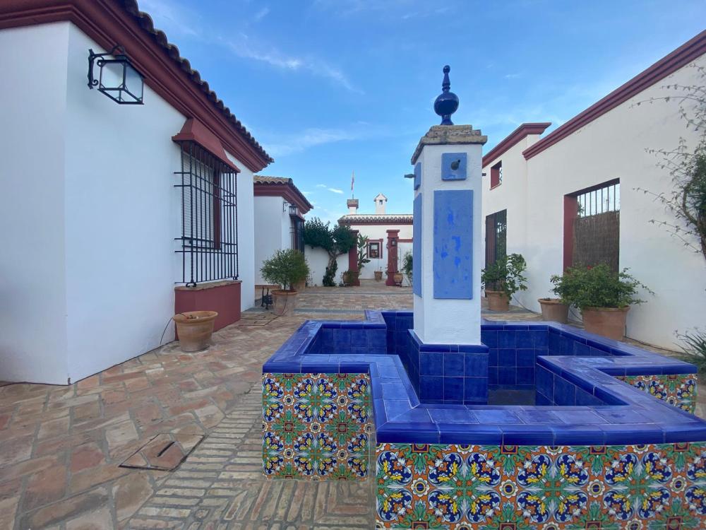  te koop villa Palma Del Rio Valle Medio Del Guadalquivir 13