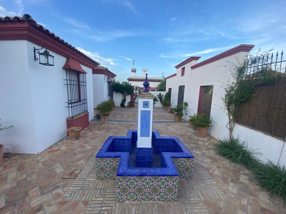  te koop villa Palma Del Rio Valle Medio Del Guadalquivir 14