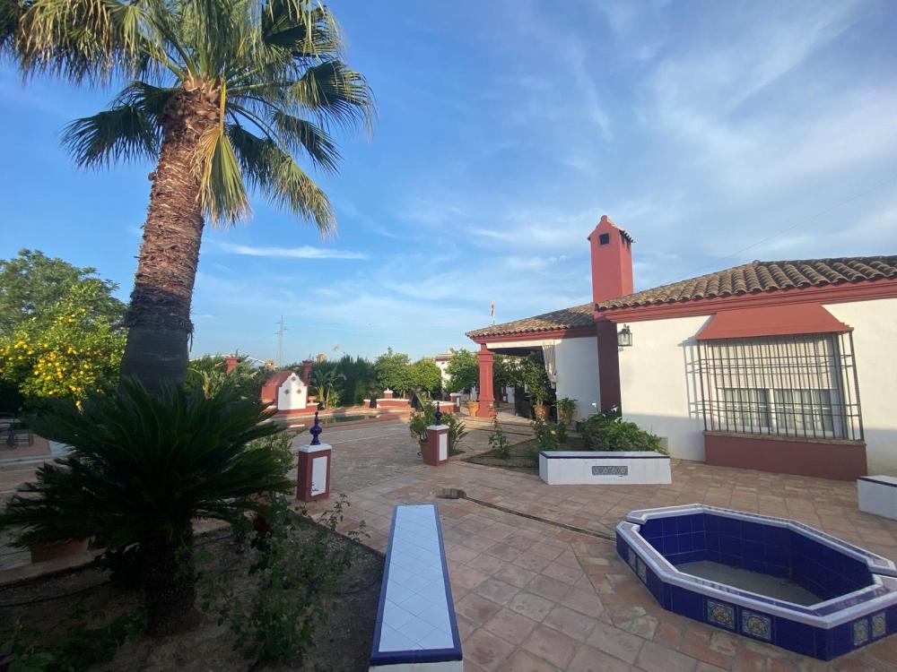  te koop villa Palma Del Rio Valle Medio Del Guadalquivir 3