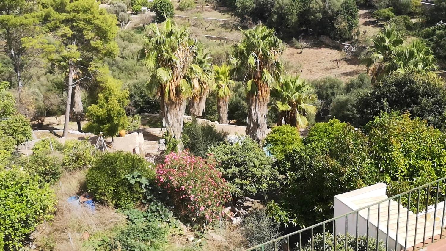  te koop huis Campanet Raiguer 15