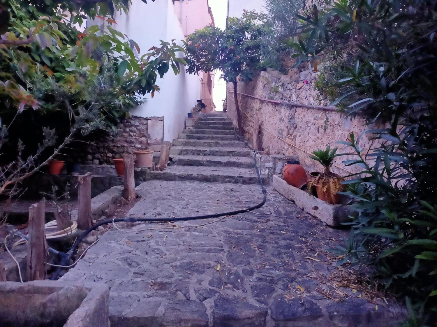  te koop huis Campanet Raiguer 17