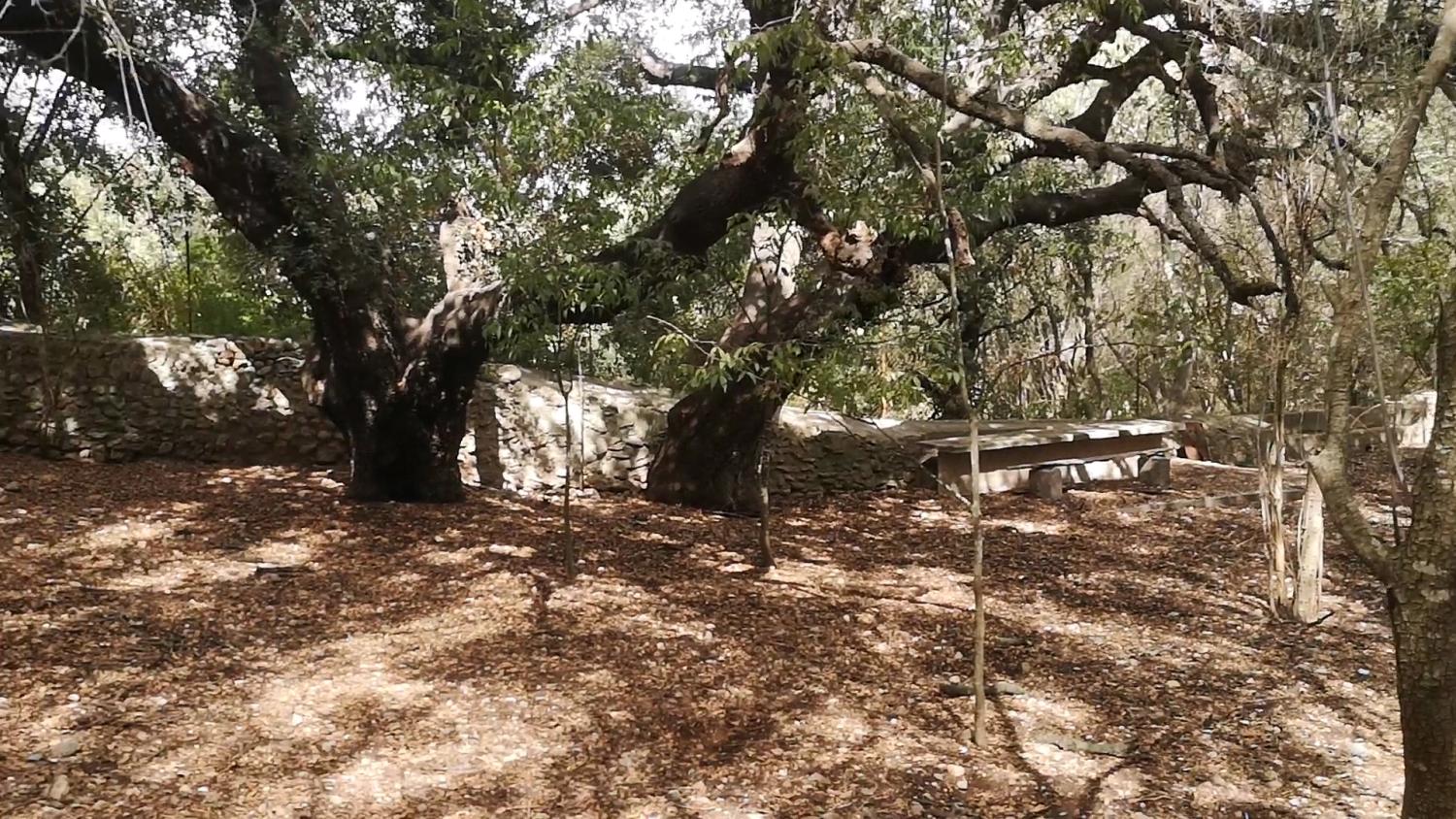  te koop huis Campanet Raiguer 44