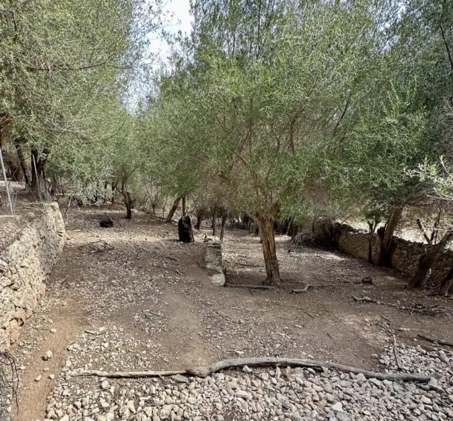  te koop huis Campanet Raiguer 41