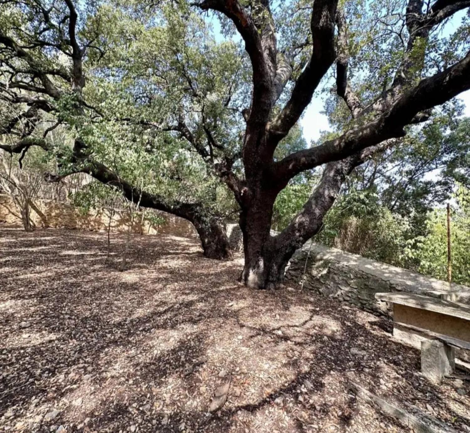  te koop huis Campanet Raiguer 43