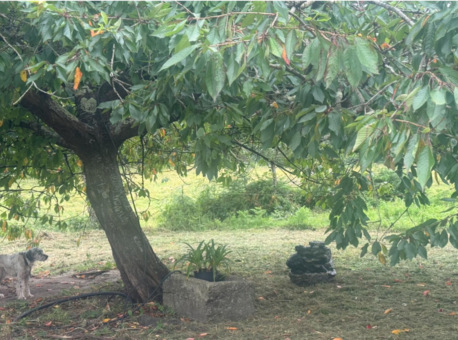  te koop huis Mondoñedo Mariña Central 38