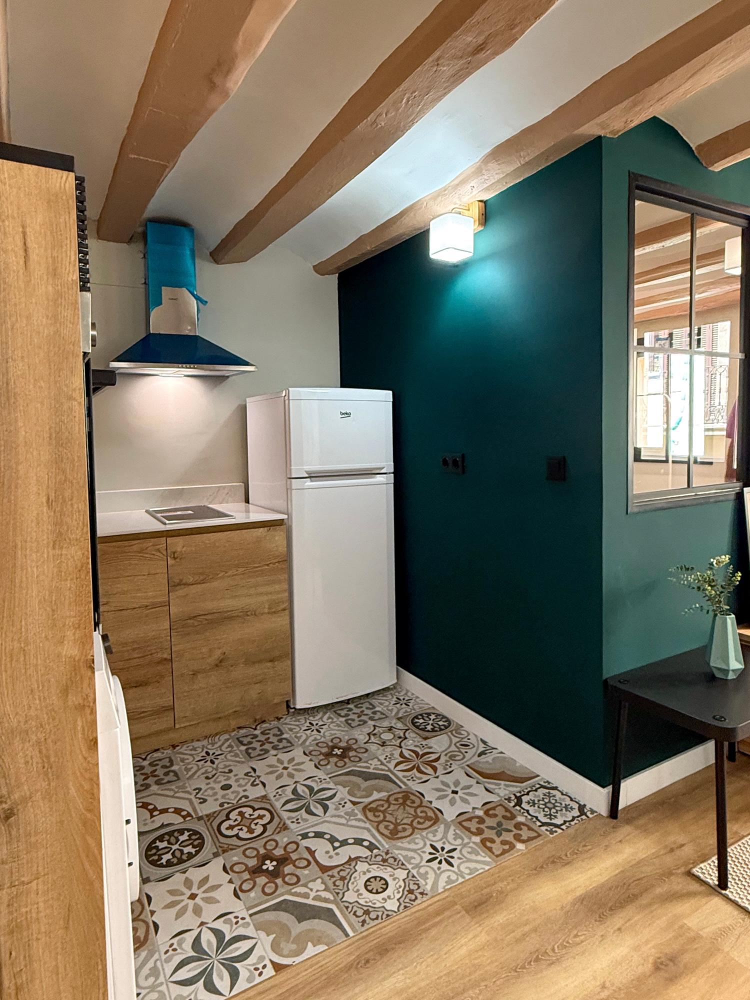 te koop appartement Ciutat Vella-Sant Pere-Santa Caterina-El Born Barcelonès 10