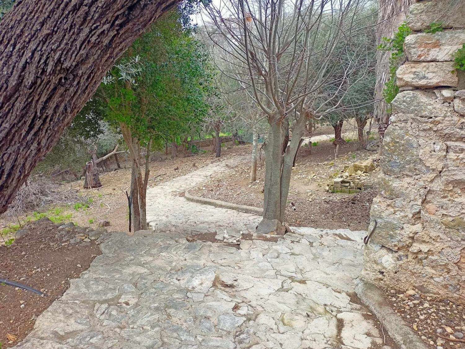  te koop huis Campanet Raiguer 38