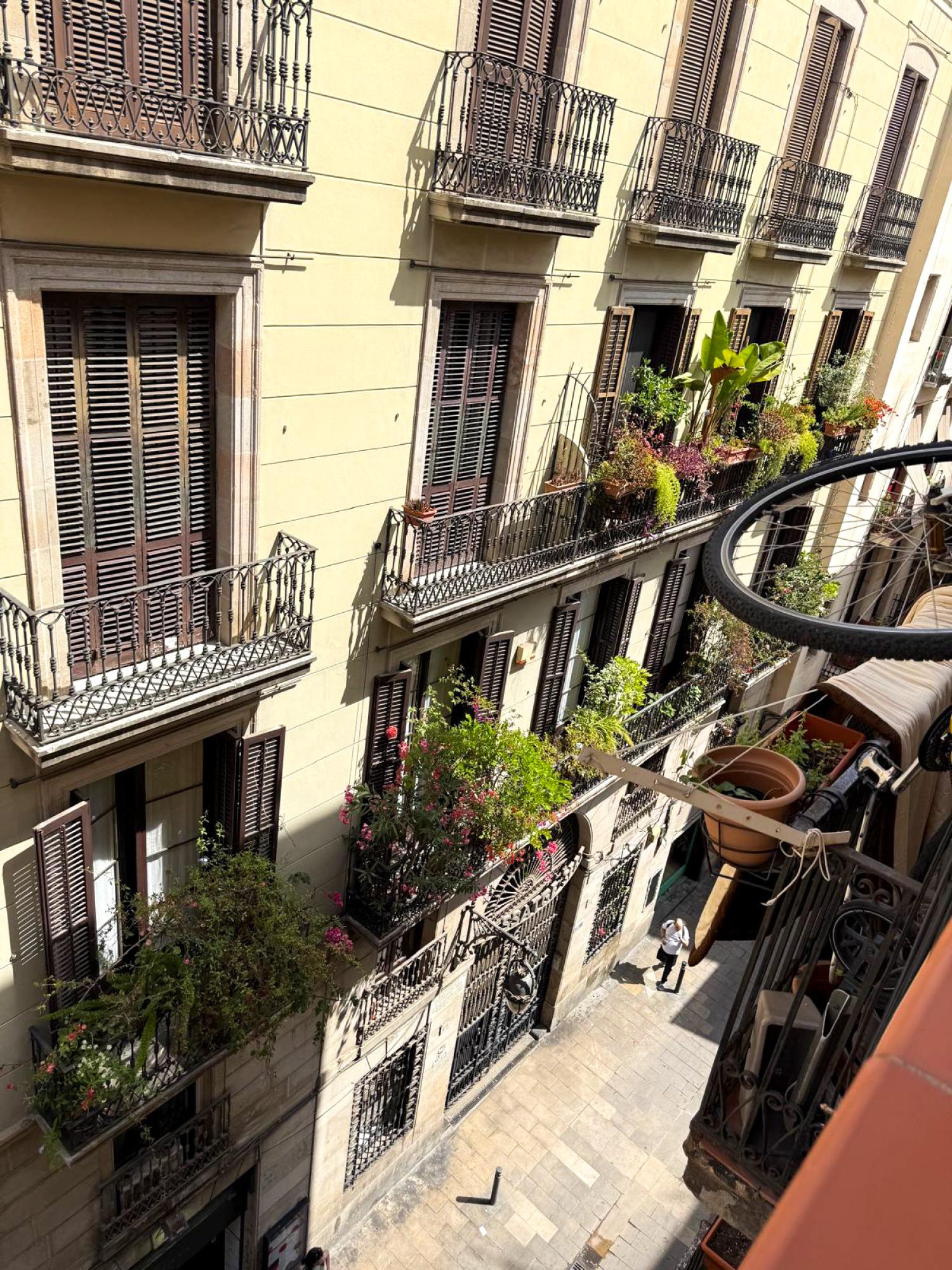  te koop appartement Ciutat Vella-Sant Pere-Santa Caterina-El Born Barcelonès 19