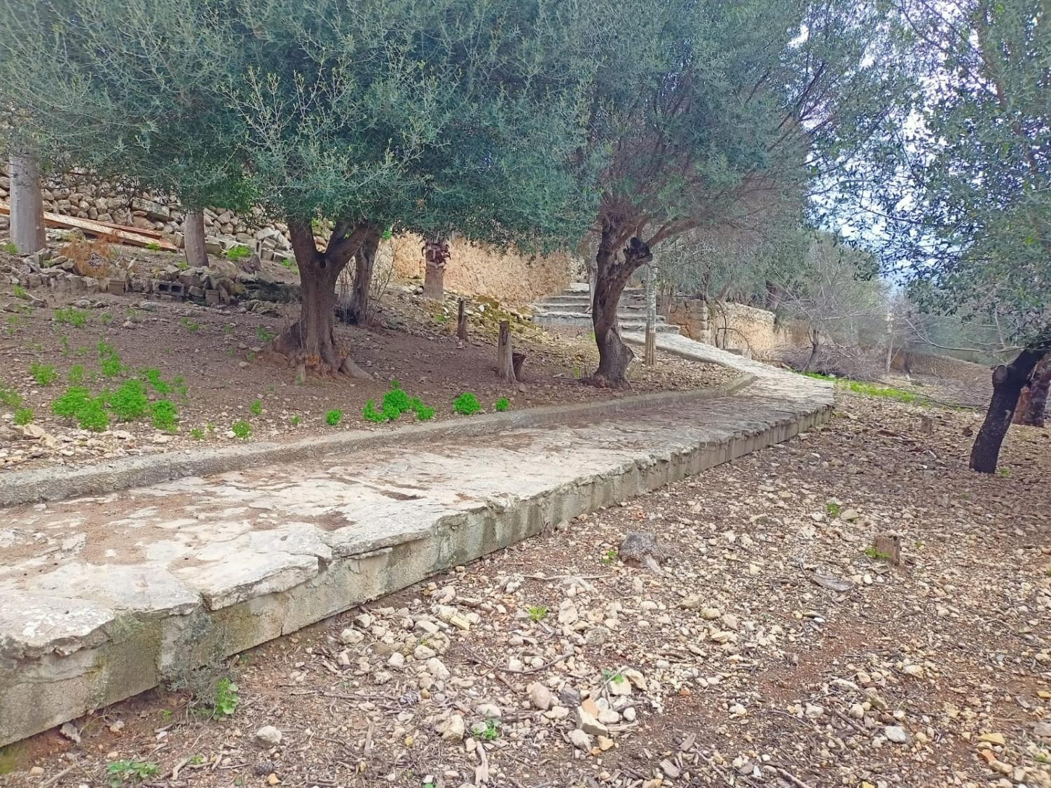  te koop huis Campanet Raiguer 39