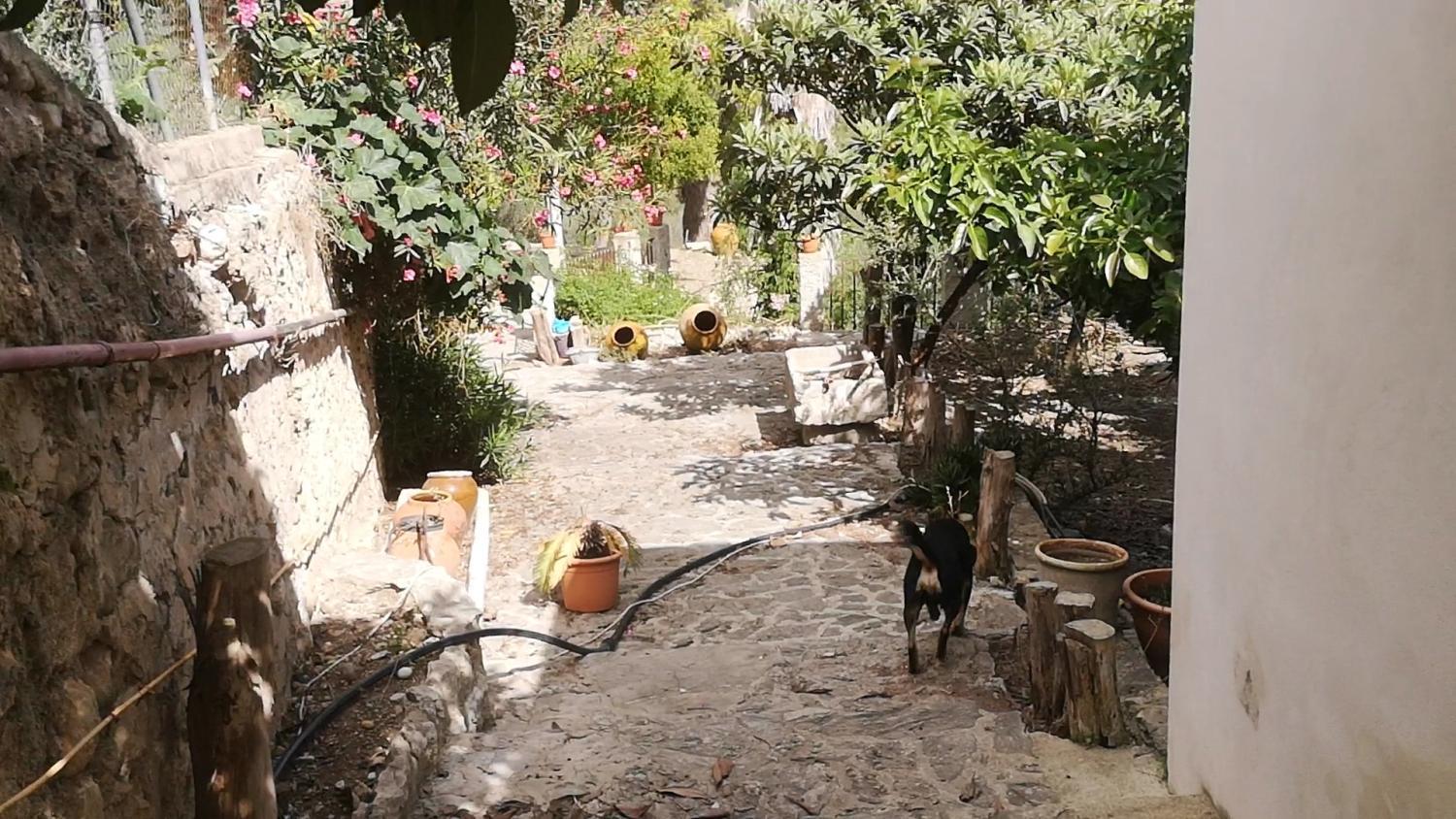  te koop huis Campanet Raiguer 14