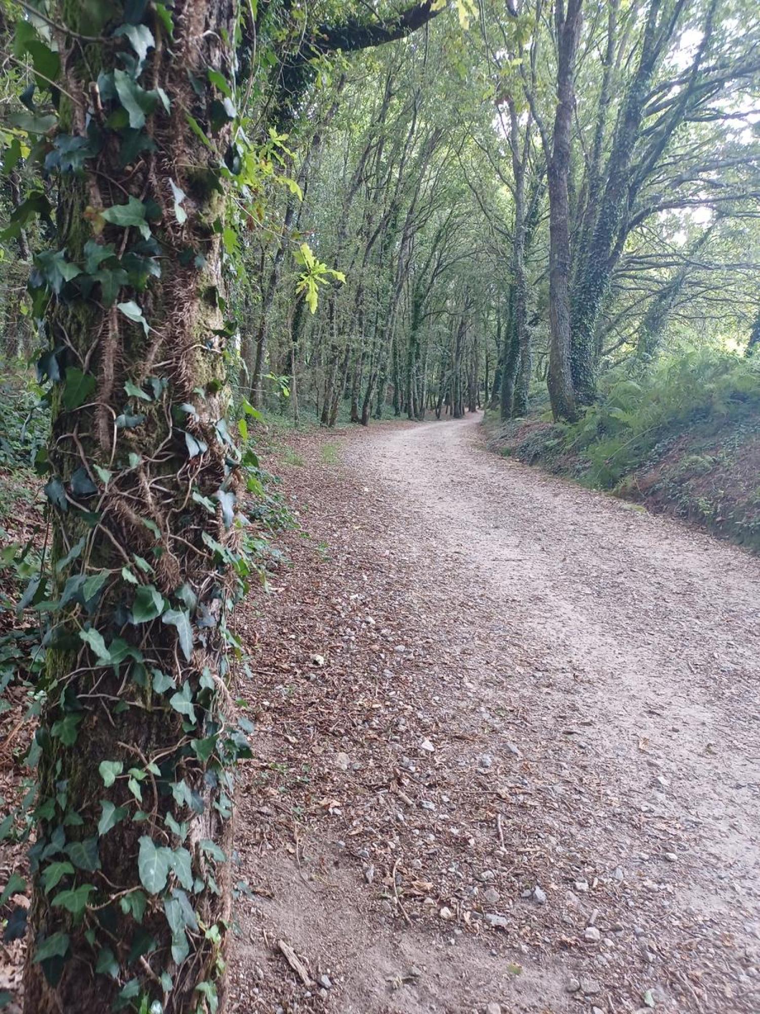  te koop perceel Raíces Santiago 11