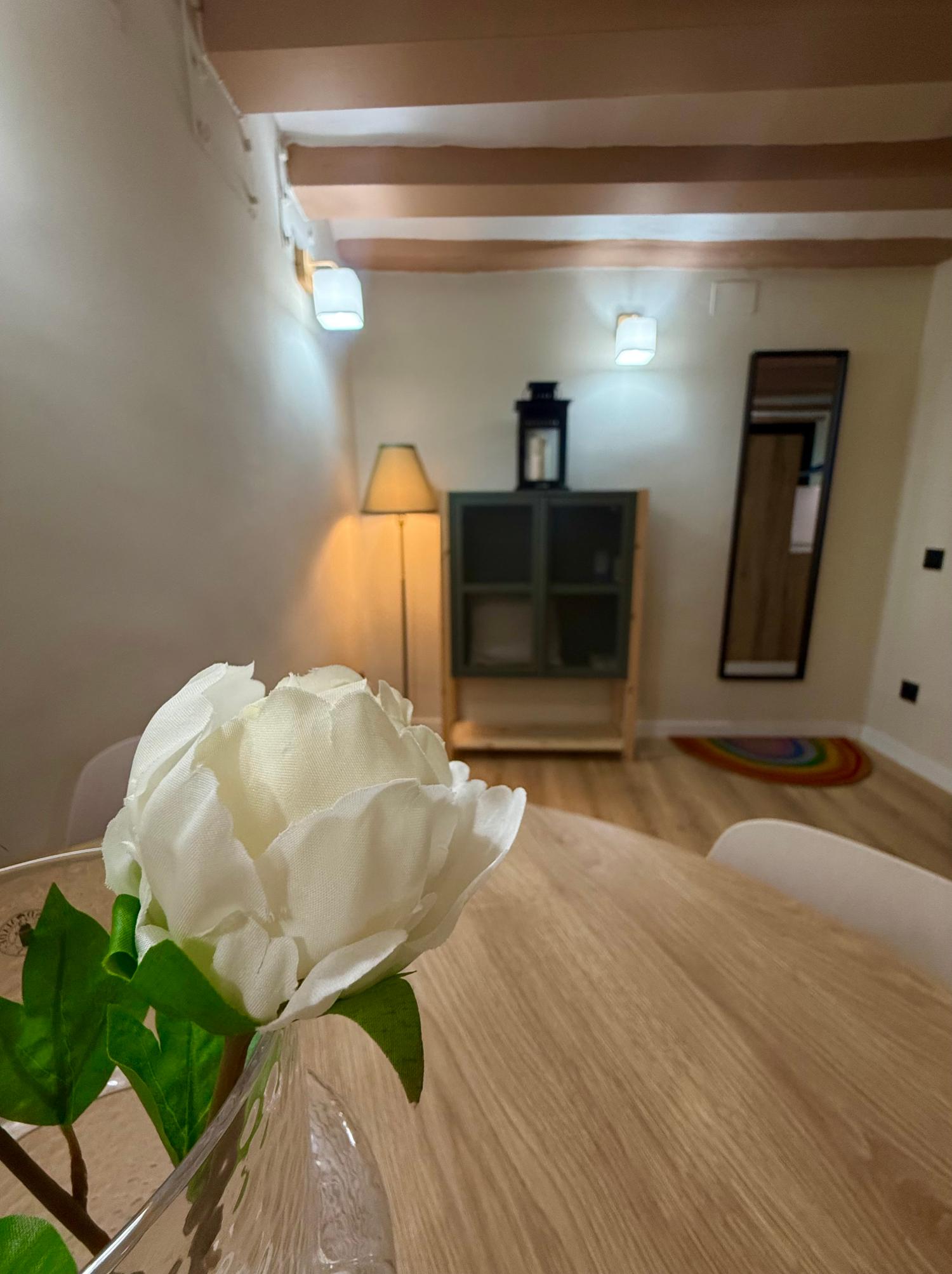 te koop appartement Ciutat Vella-Sant Pere-Santa Caterina-El Born Barcelonès 16