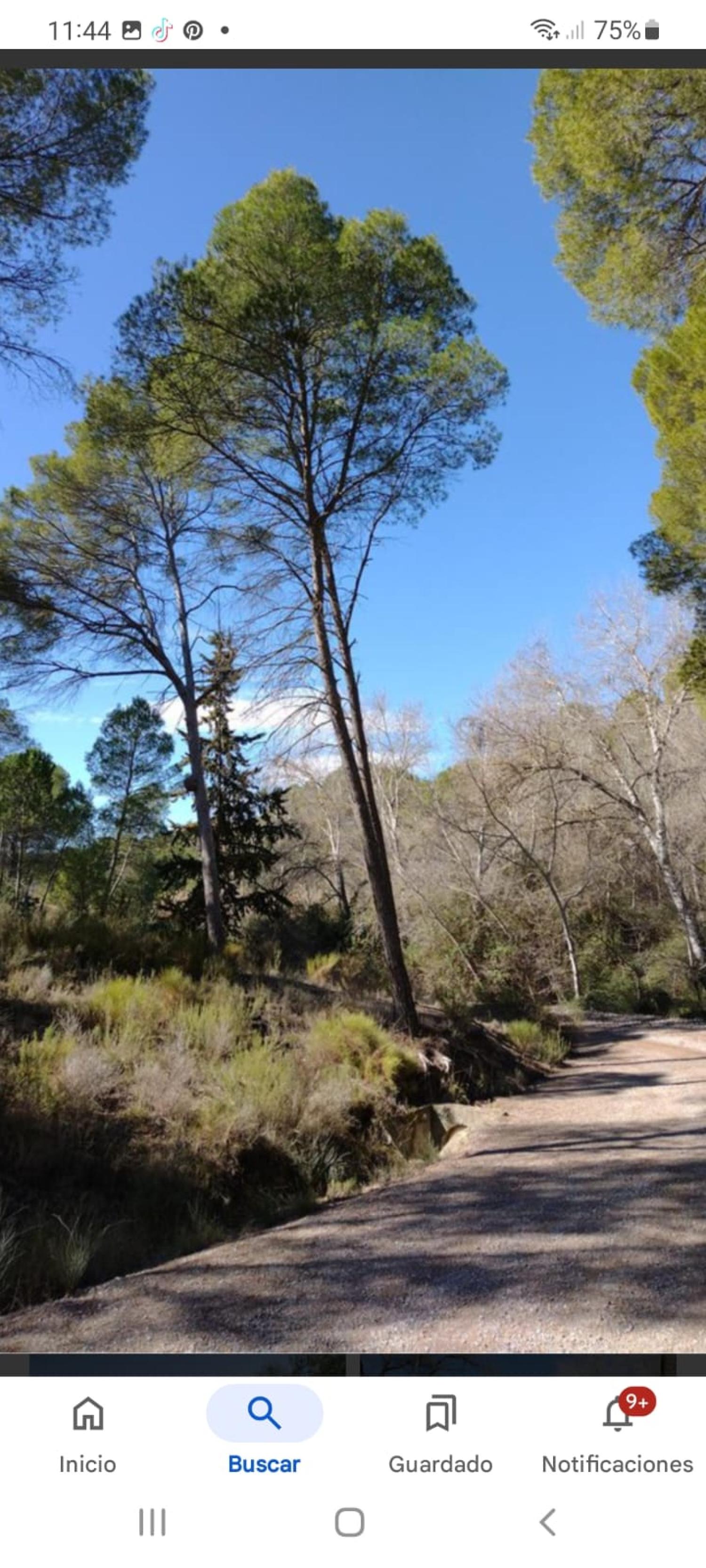  te koop huis Calasparra Noroeste 16