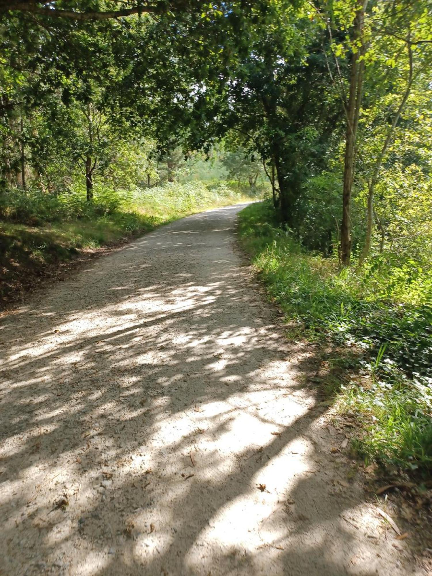  te koop perceel Raíces Santiago 13