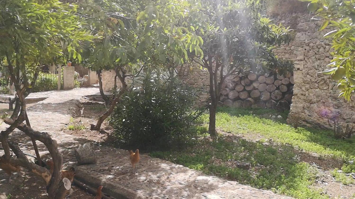  te koop huis Campanet Raiguer 19