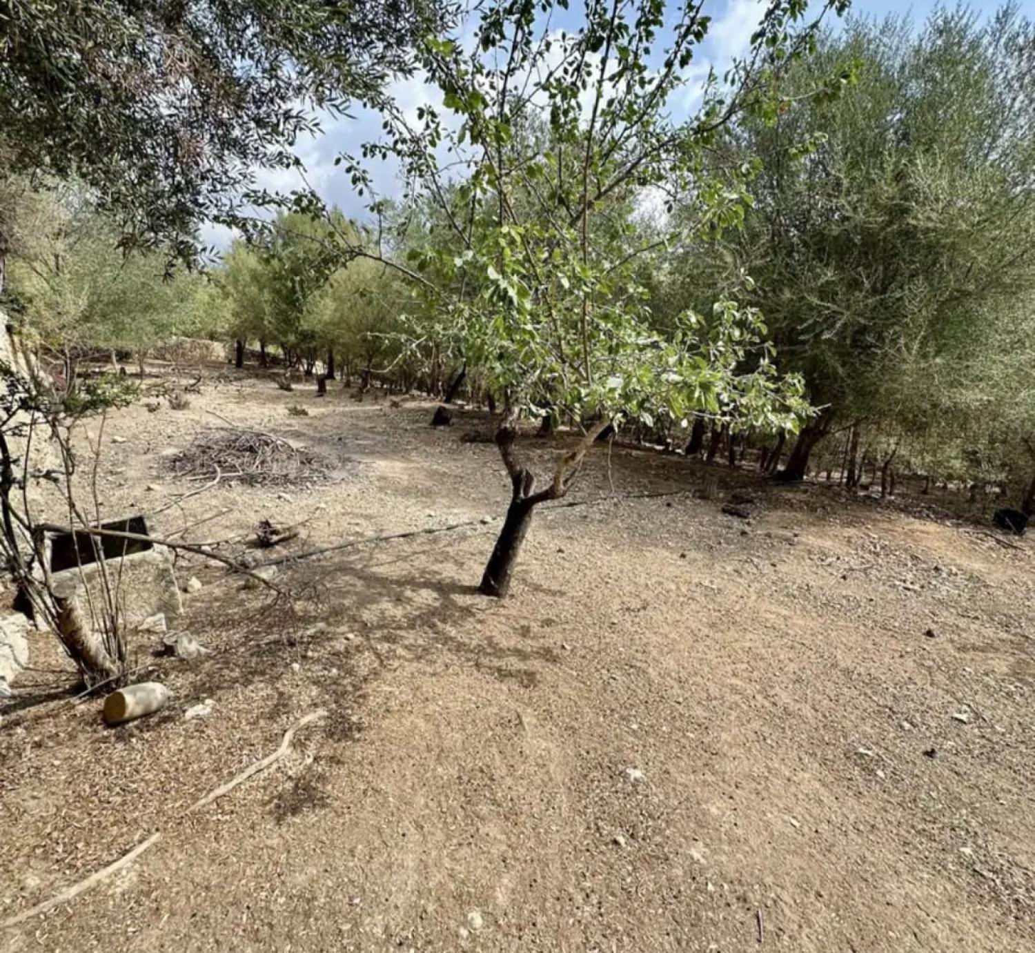  te koop huis Campanet Raiguer 42