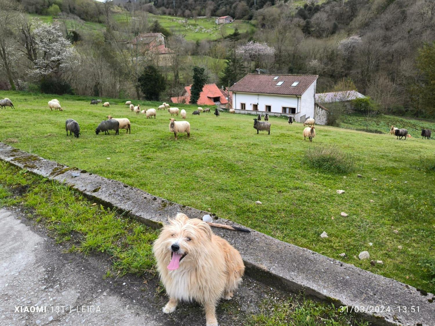  te koop rijtjeshuis Arangas Oriente 48