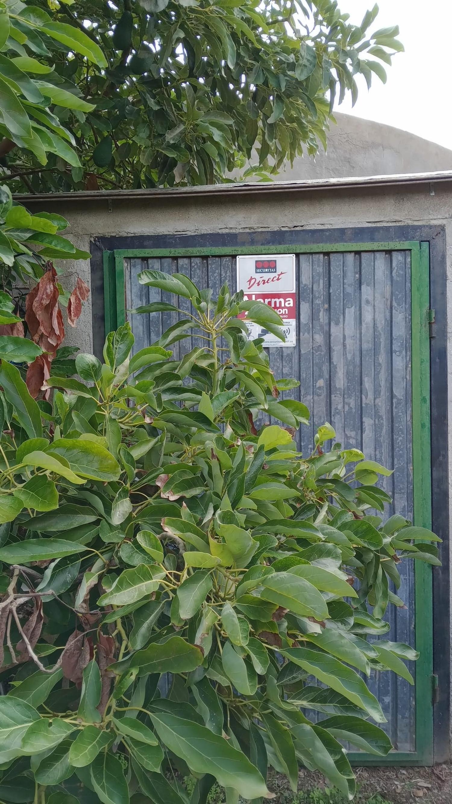  te koop rijtjeshuis Puntalón Costa Tropical 11