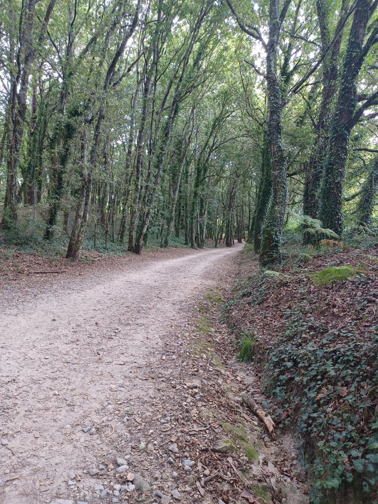  te koop perceel Raíces Santiago 30