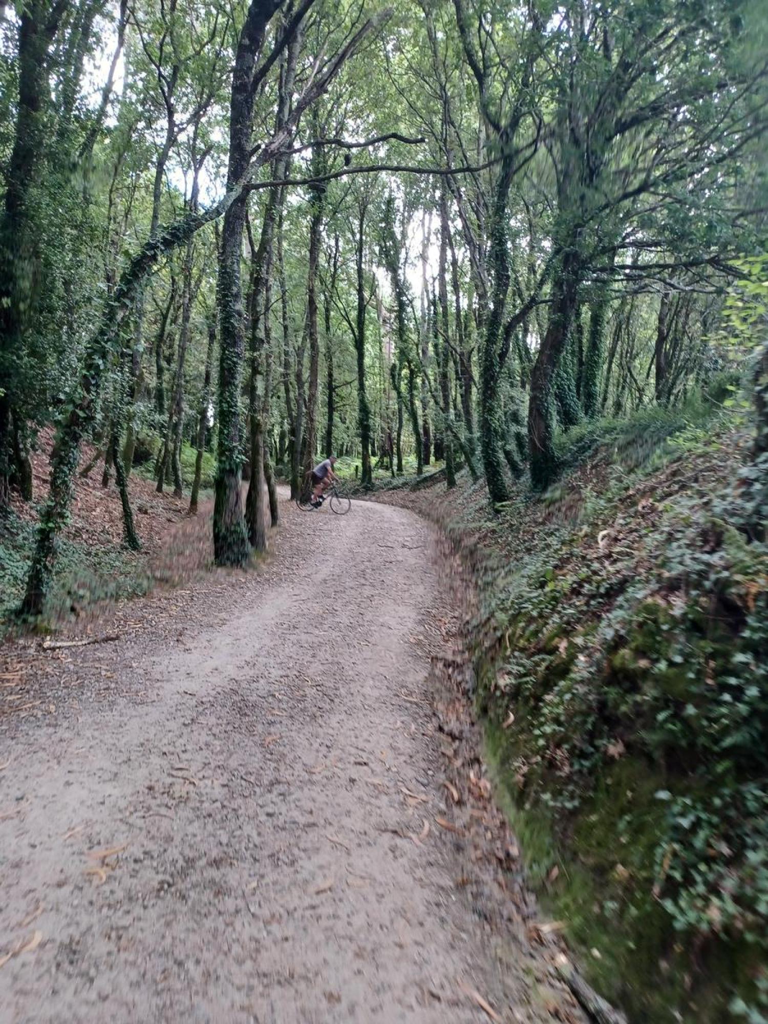  te koop perceel Raíces Santiago 32