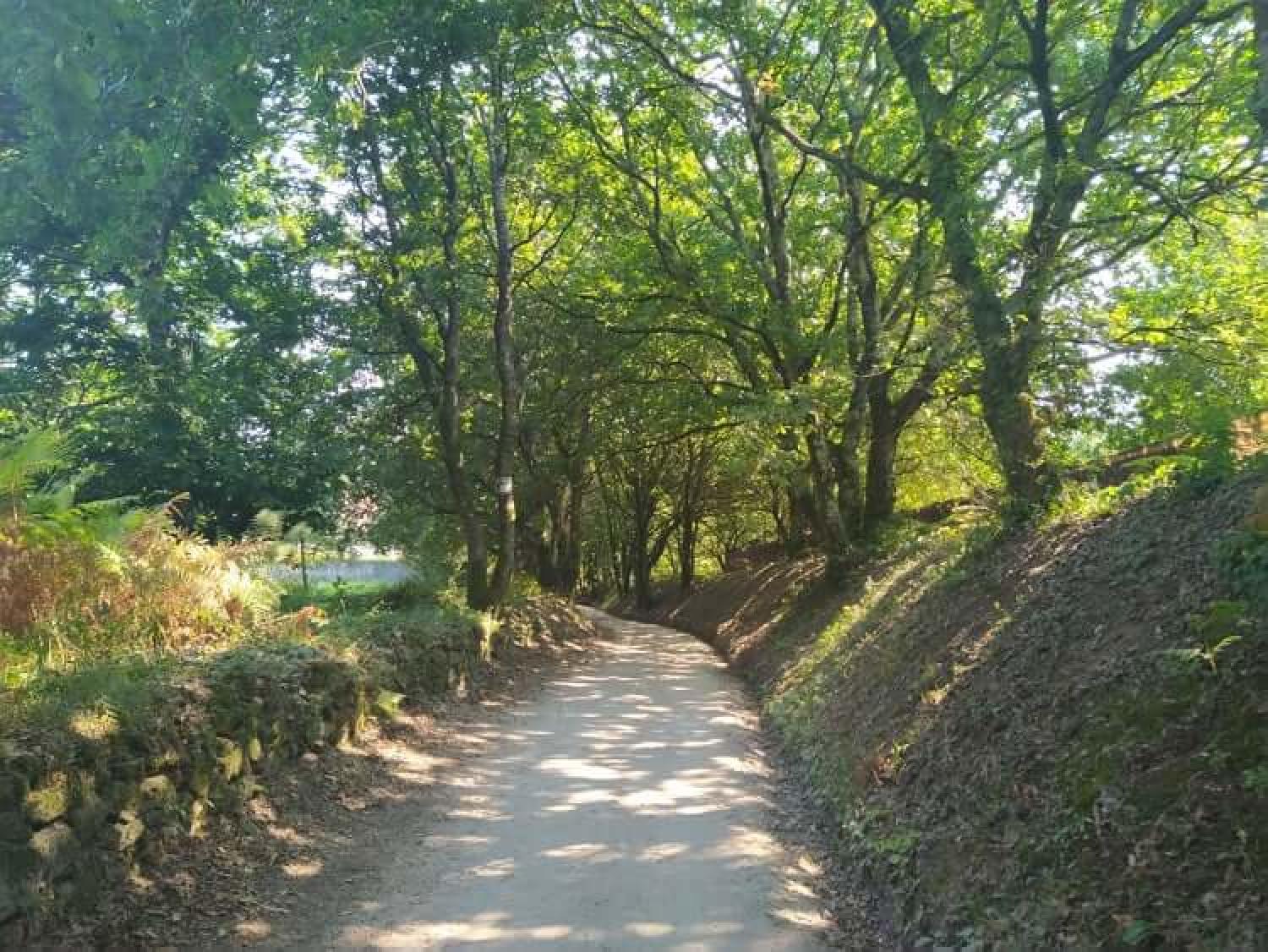  te koop perceel Raíces Santiago 27