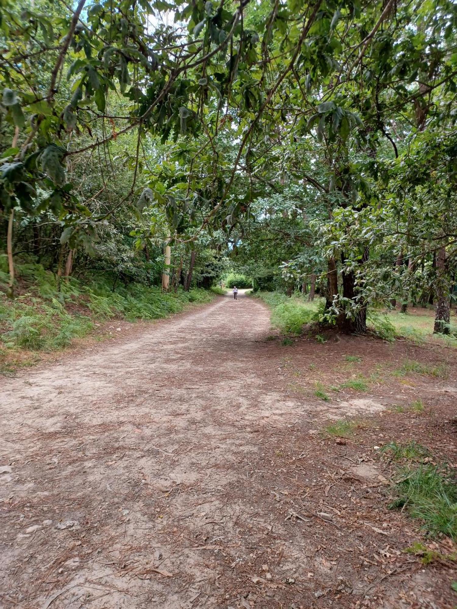  te koop perceel Raíces Santiago 20