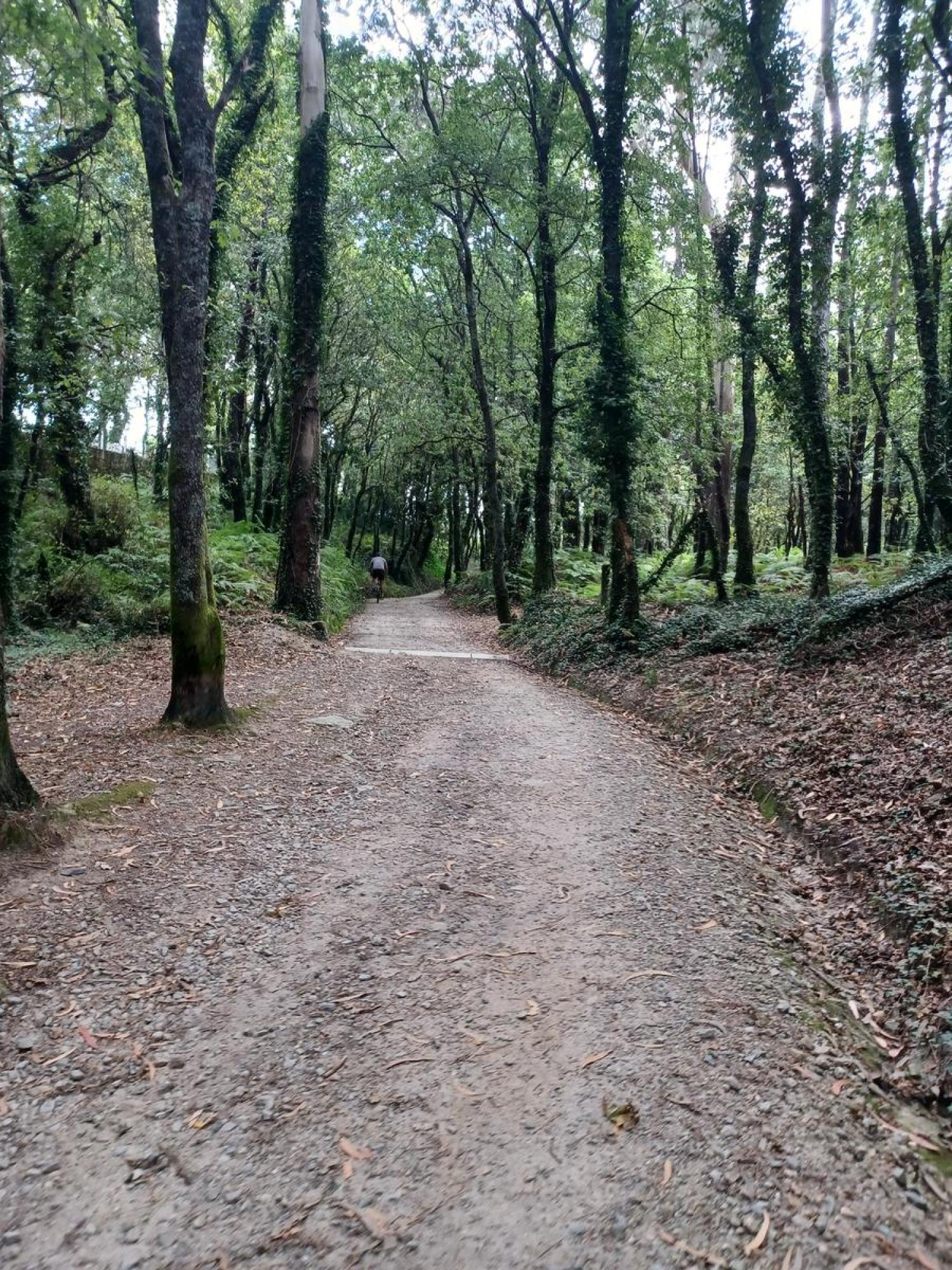  te koop perceel Raíces Santiago 17