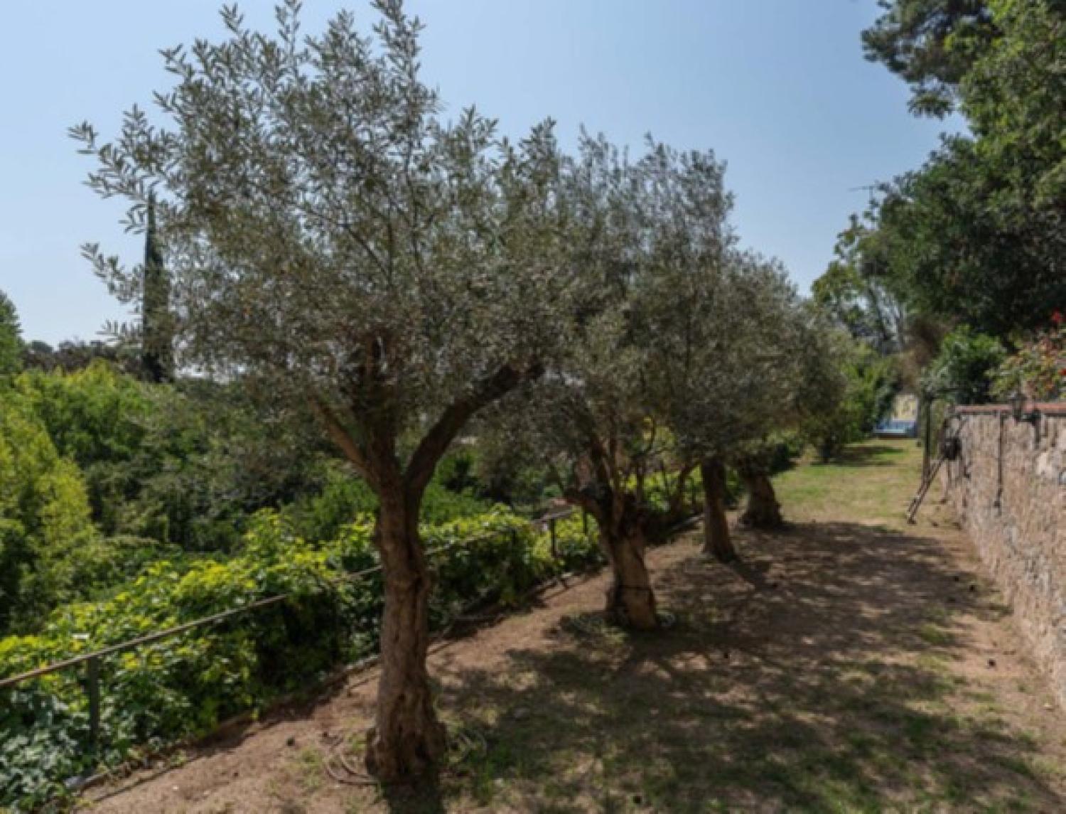  te koop herenhuis Nucli Antic Maresme 41