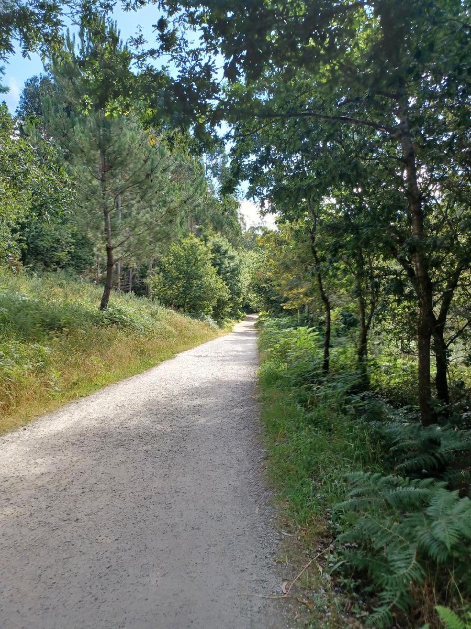  te koop perceel Raíces Santiago 24