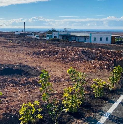 Tindaya Oliva (La) perceel foto 6323669