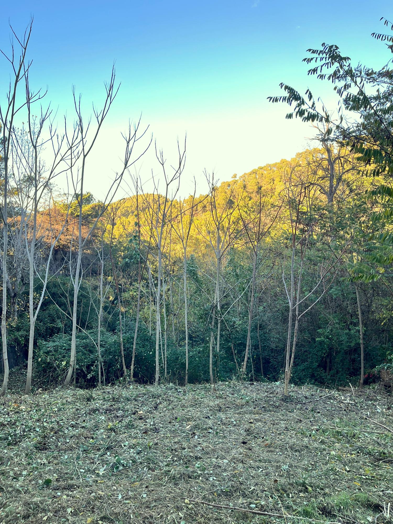  te koop perceel Les Planes Vallès Occidental 1