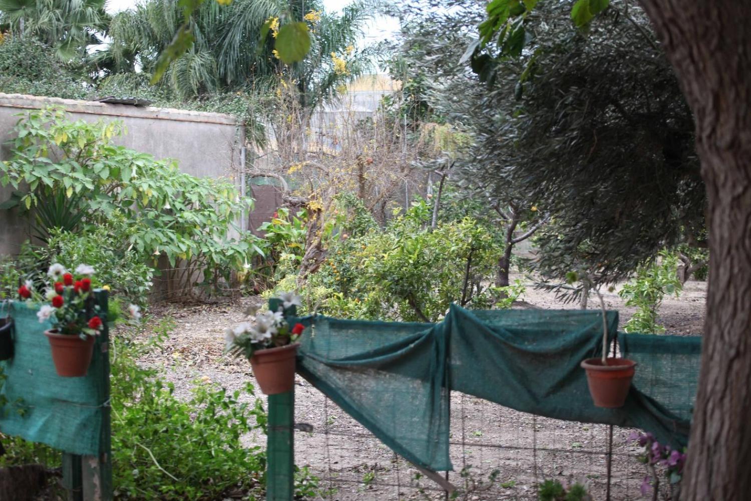  te koop villa Sollana Ribera Baixa 68