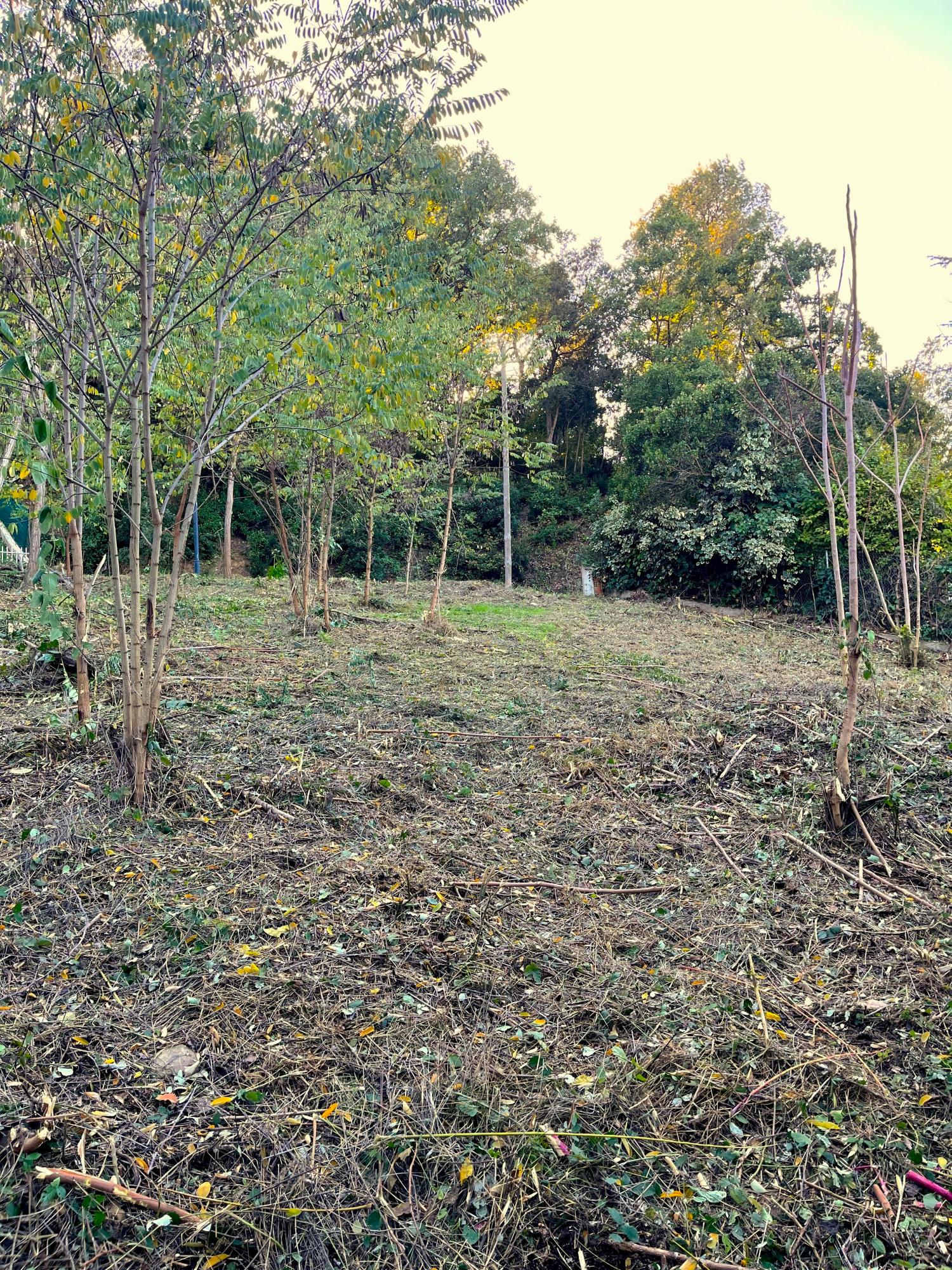  te koop perceel Les Planes Vallès Occidental 2