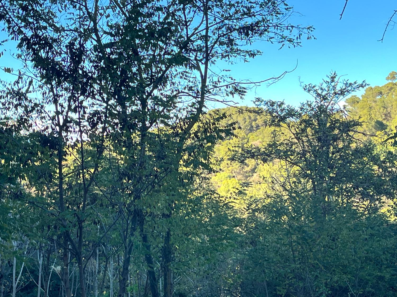  te koop perceel Les Planes Vallès Occidental 9