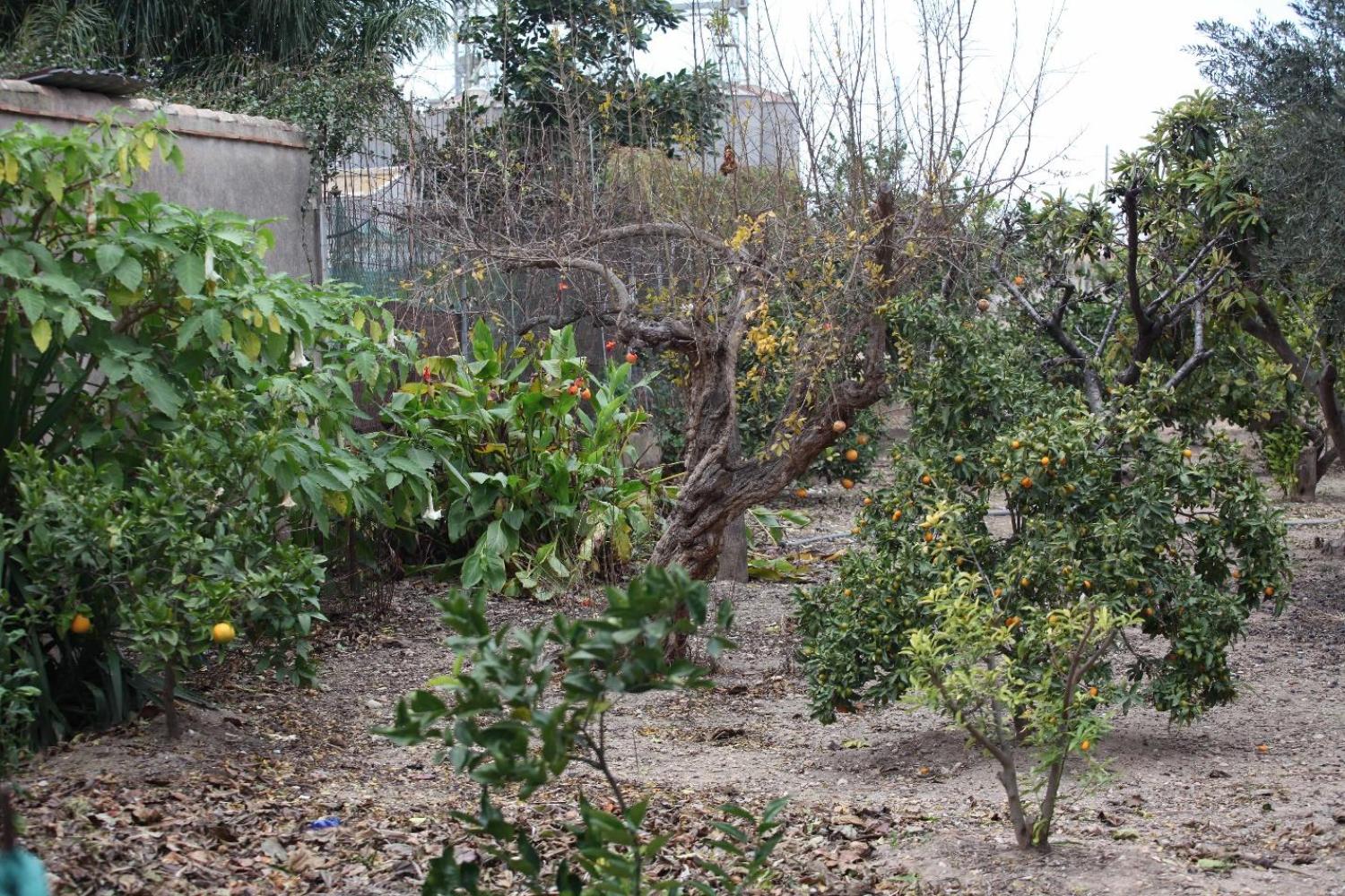  te koop villa Sollana Ribera Baixa 81