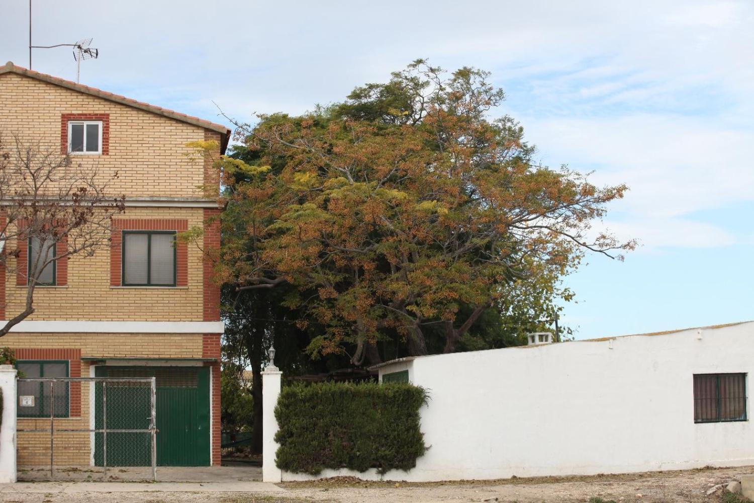  te koop villa Sollana Ribera Baixa 16