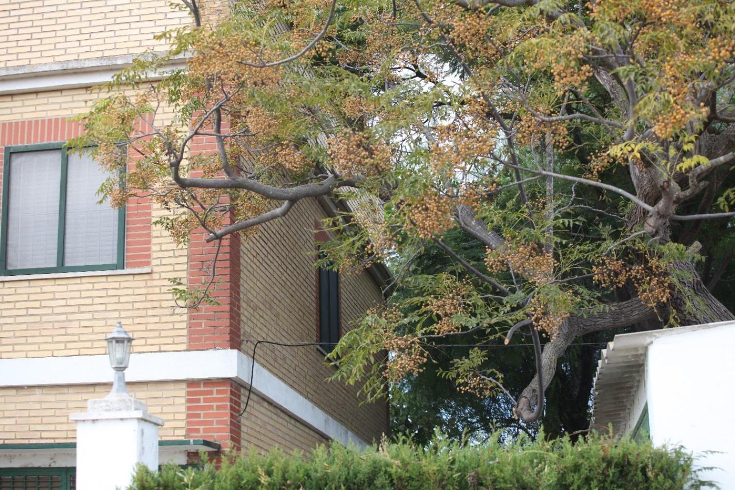  te koop villa Sollana Ribera Baixa 19