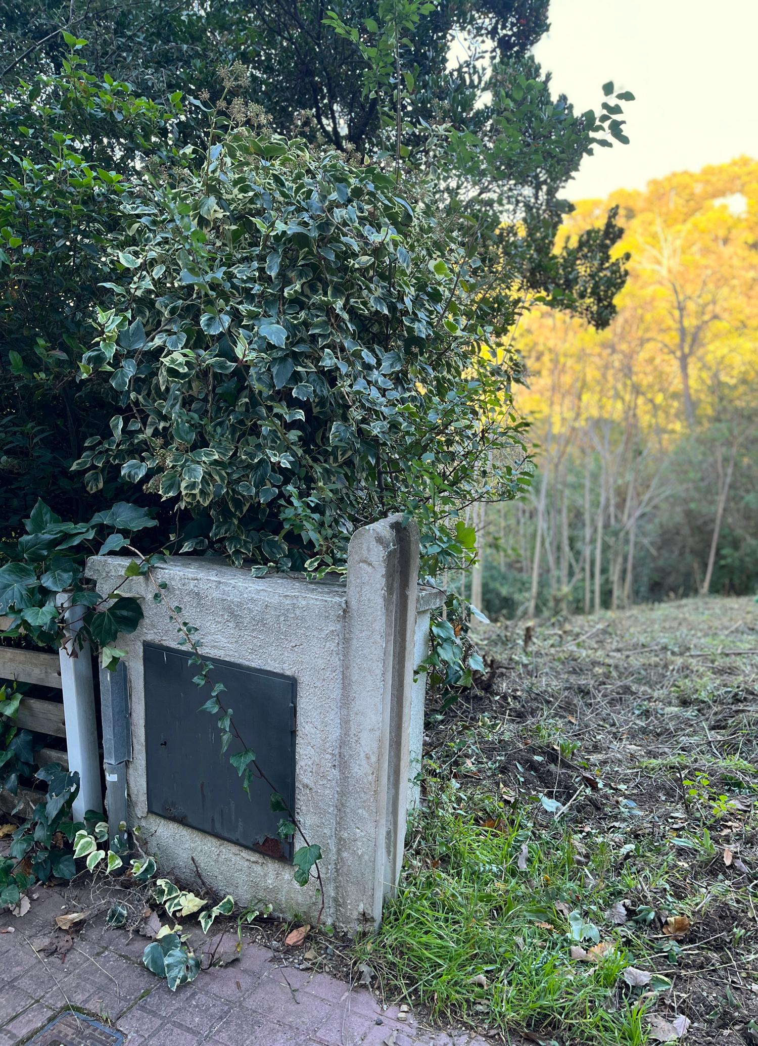  te koop perceel Les Planes Vallès Occidental 11